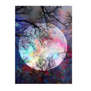 import placeholder for 34273