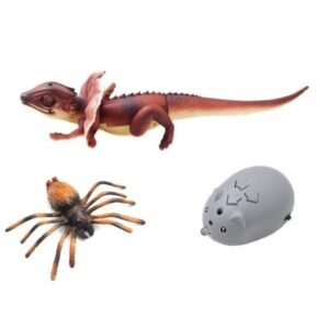 import placeholder for 12432