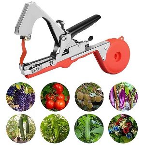 import placeholder for 62066