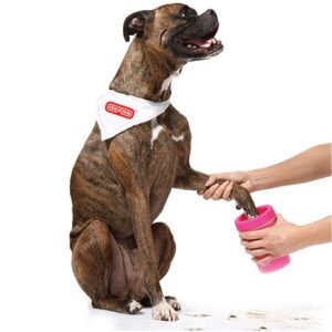 import placeholder for 6165