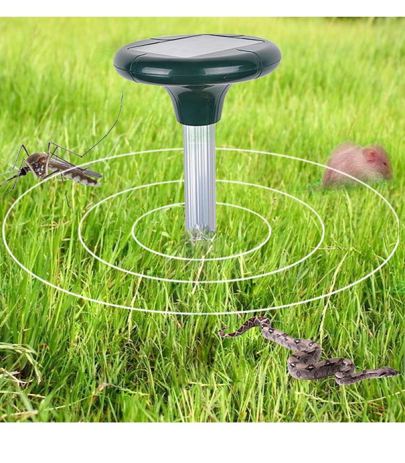 import placeholder for 5082 import placeholder for 5082