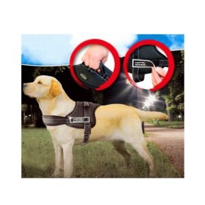 import placeholder for 4613