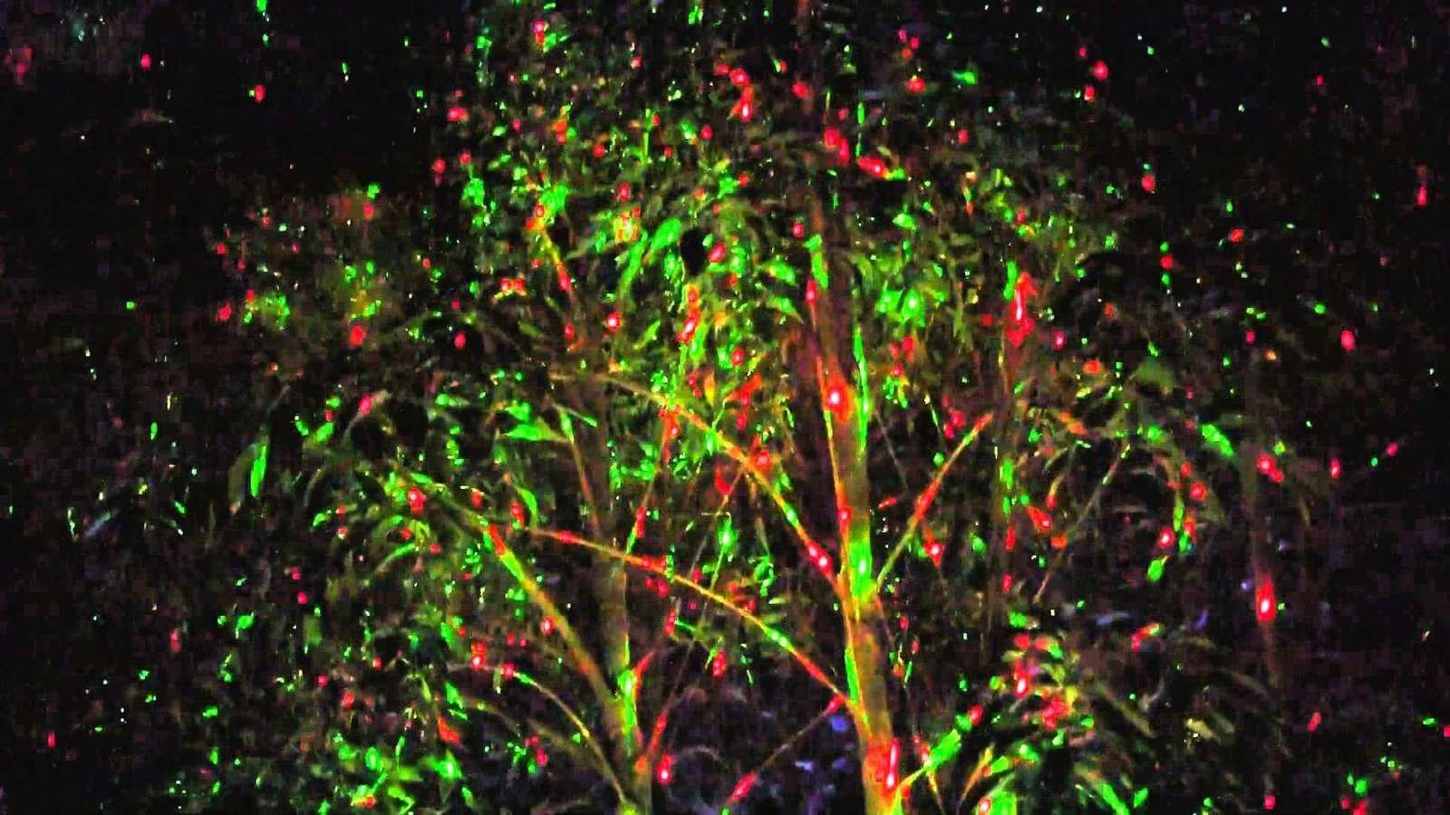 star shower lézer lámpa star shower lézer lámpa