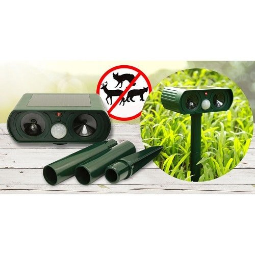 import placeholder for 17555 import placeholder for 17555