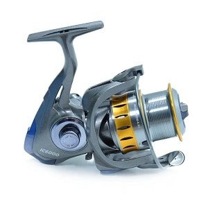 import placeholder for 61021