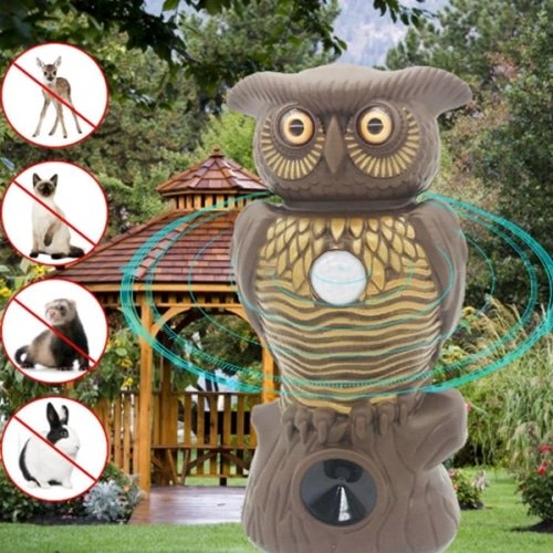 import placeholder for 17521 import placeholder for 17521