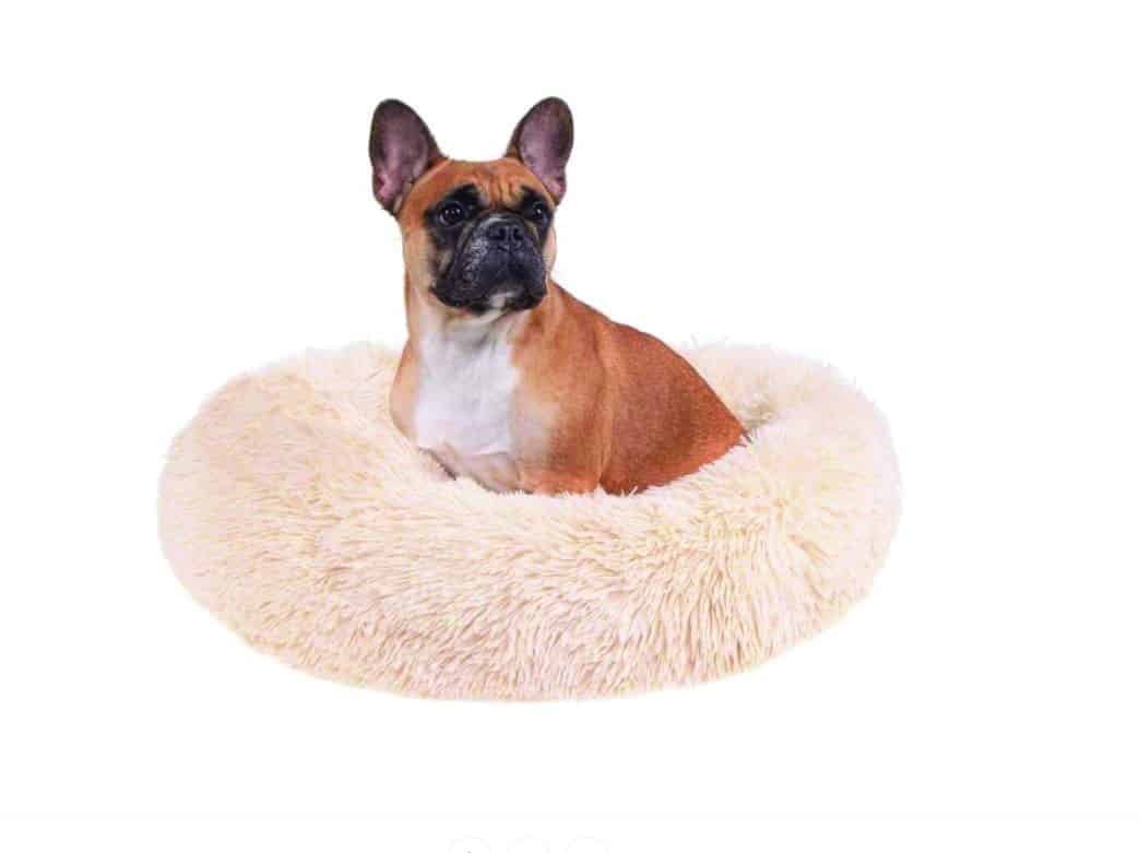 deko kutya/macska fekhely deko kutya/macska fekhely