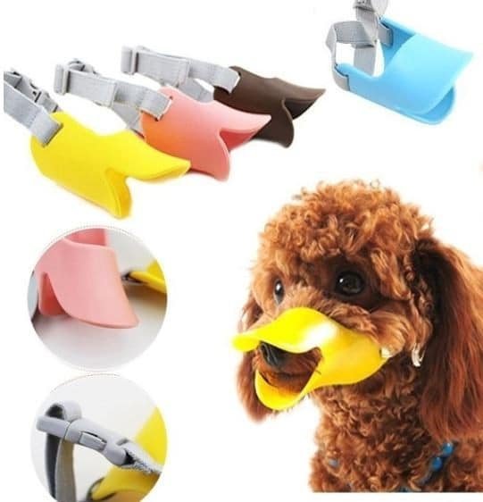 import placeholder for 18470 import placeholder for 18470